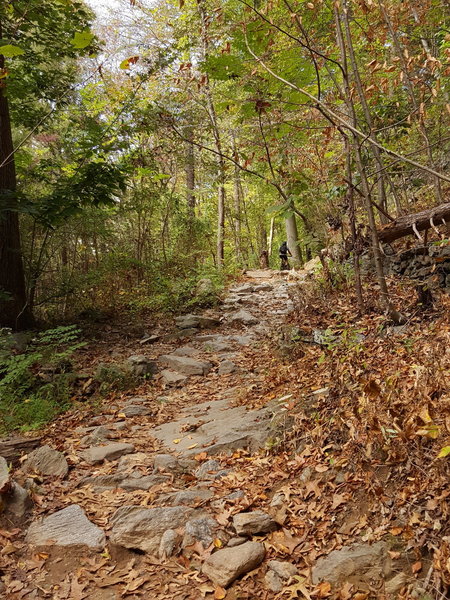 A technical, rocky climb on the northeast part of the trail.