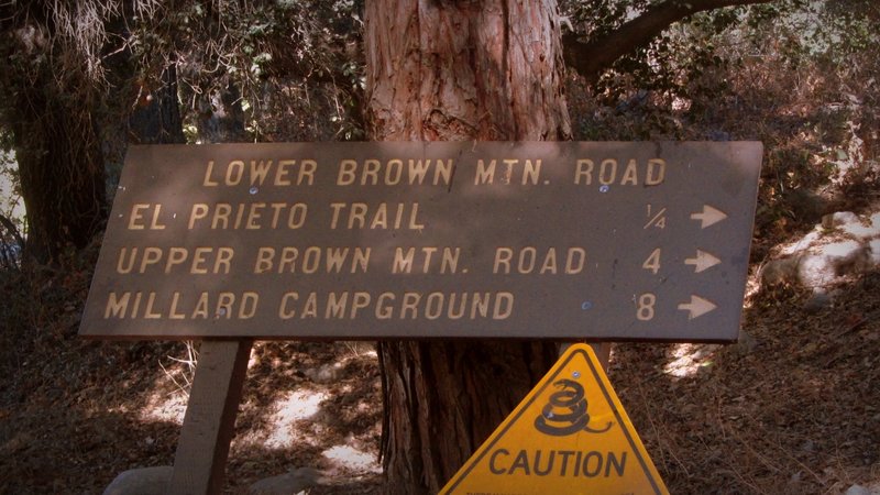 Starting of Fern Truck Trail.