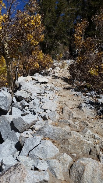 Here's pretty much your first mile. From parking at campground, go through the gate past the cabins then left. Ask camp host.