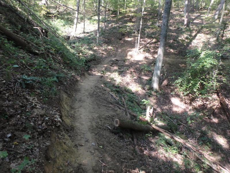 Trail navigates a deep ravine.