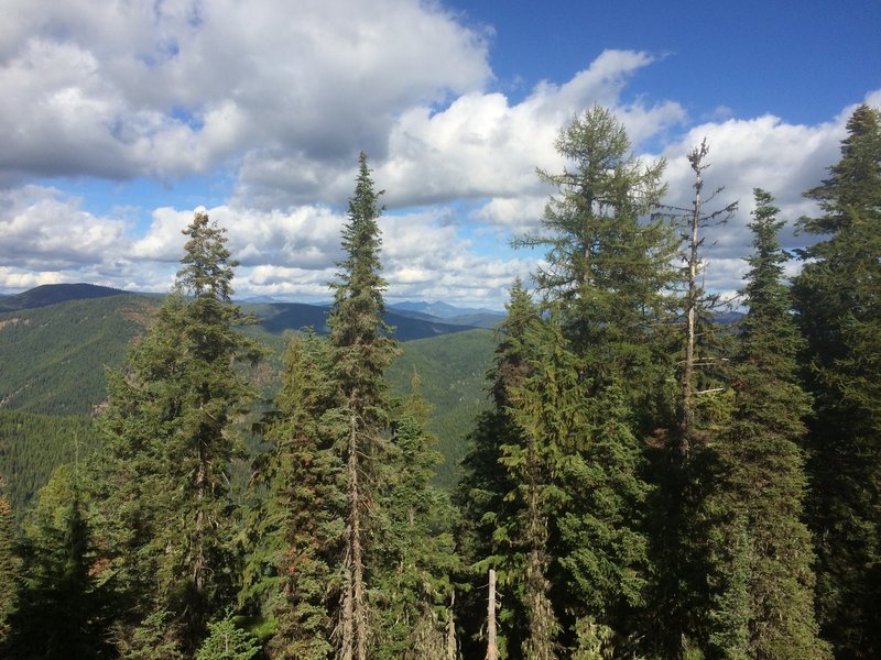 View from Ermine Ridge Trail.