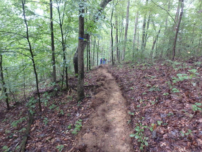 This narrow singletrack was cut in by a mule team.