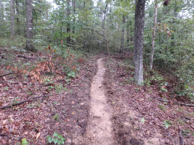 Narrow and flowing singletrack.