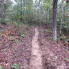 Narrow and flowing singletrack.