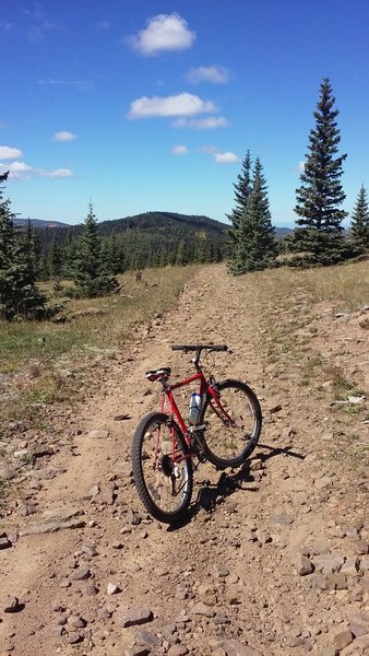 Rode my old school to the top; this rocky road is the final stretch