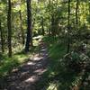 A section of Cottonwood Trail.