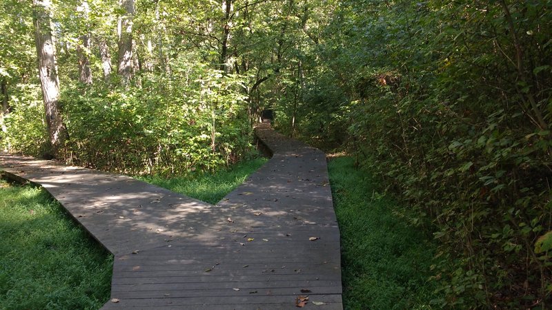 The loop portion of Cottonwood is an elevated boardwalk.