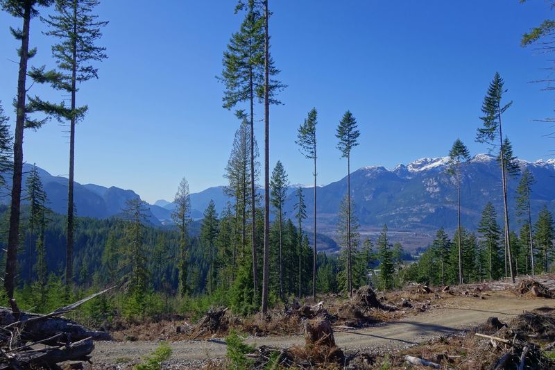 Views from the Ring Creek North FSR climbing road in Squamish, BC.