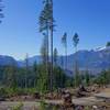 Views from the Ring Creek North FSR climbing road in Squamish, BC.