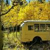 The school bus in fall!