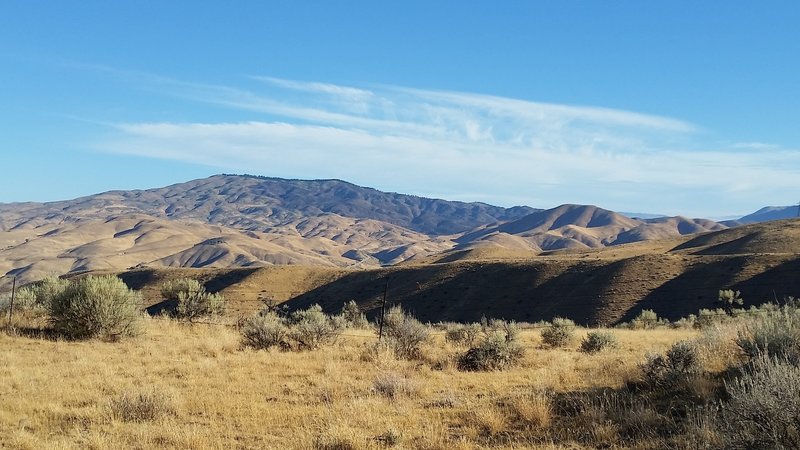 Shafer Butte burn area.