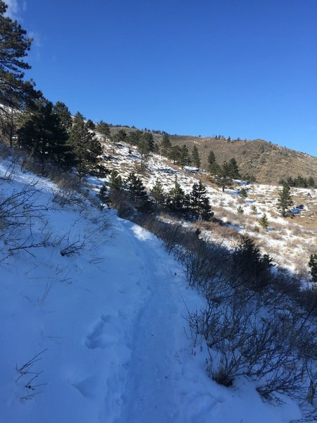 Winter stage on the Timber Trail. Riding all four seasons presents a variety of trail conditions.