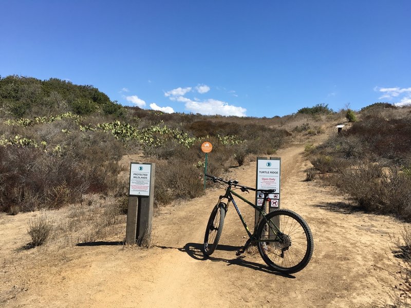 Turtle Ridge trailhead.