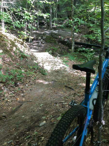 This is a pic looking up at a technical section which I rode down.