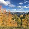 You'll get great color in the fall on the Coal Creek Trail.