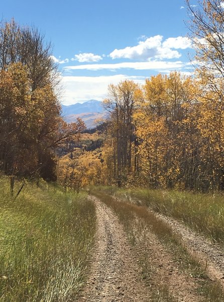 Fall color at the peak.