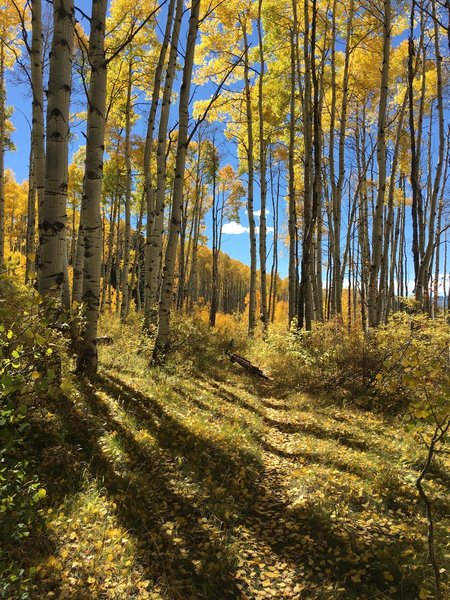 Fall riding is the best.