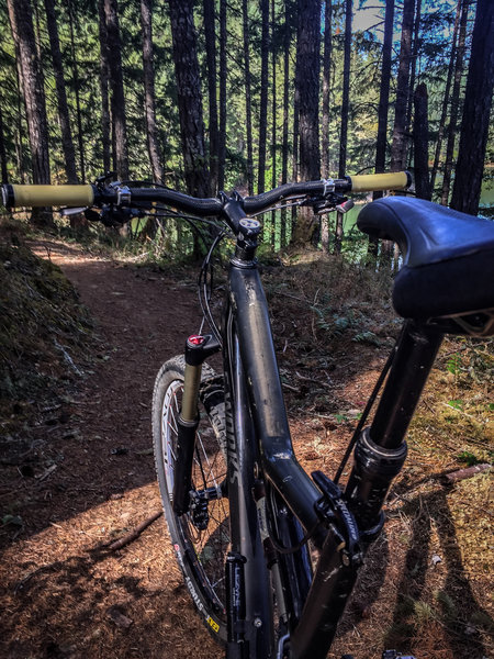 One of the many great lake views on this trail.