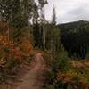 The trail just above the Pony Express lift.