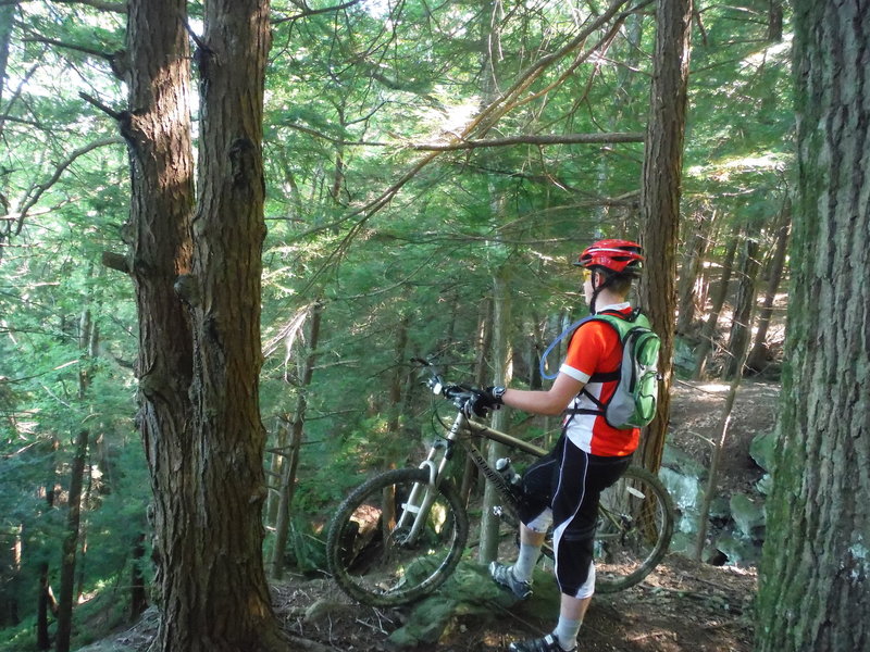 Riding along the Window Trail, taking some time to appreciate the nature. This is a larger drop than I'm willing to try.