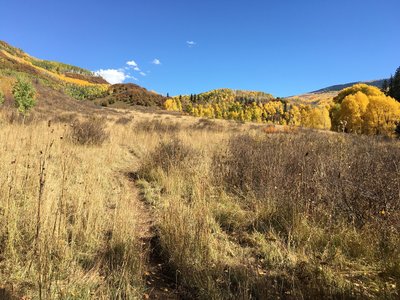 Meadow with fall colors.