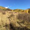 Meadow with fall colors.