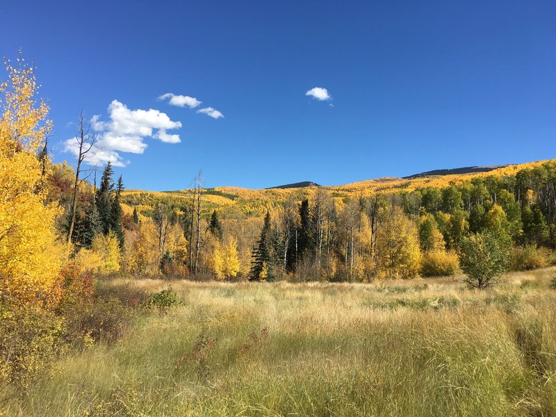 Colorado autumn.