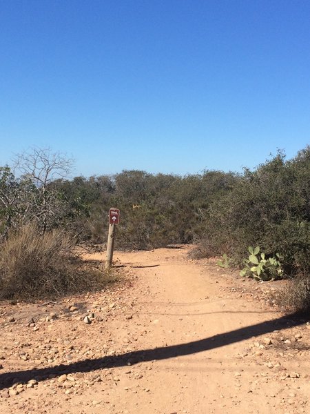 Singletrack.