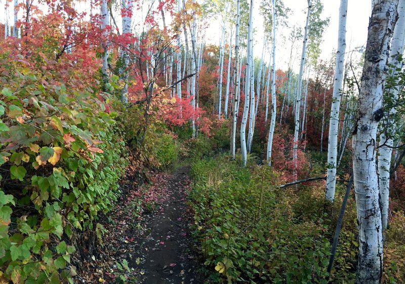 Beautiful fall ride!