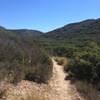 Singletrack heading through the hills.