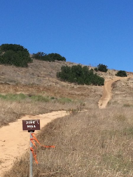 Side Hill - connector to Del Mar Mesa Preserve.