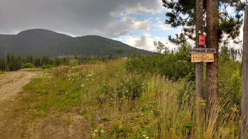 Trailhead for Poker Run at Swift Mountain Road.