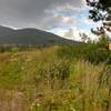 Trailhead for Poker Run at Swift Mountain Road.