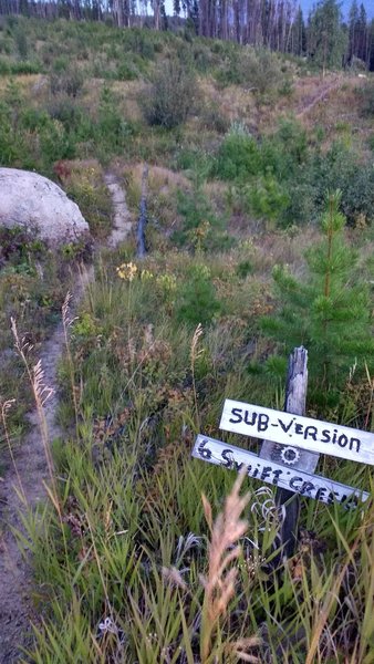 Subversion trailhead at Swift Mountain Road looking due south toward the bike park.