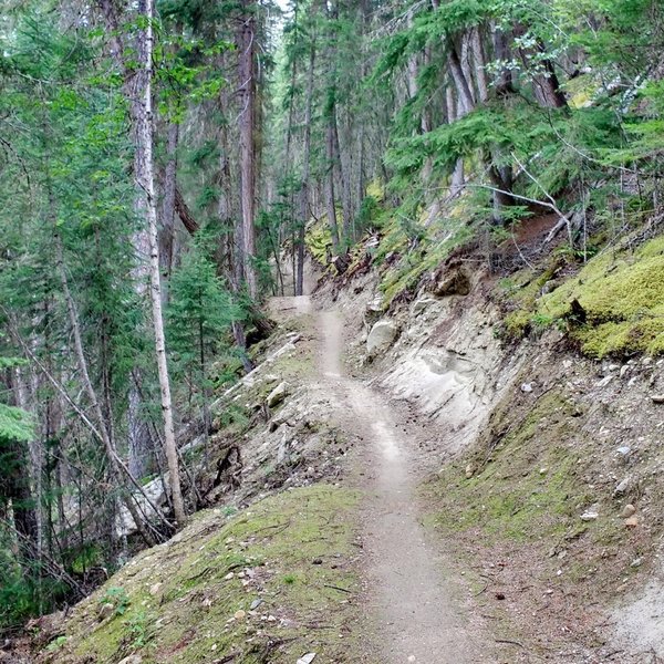 Long, flowy downhill section in the lower-third of the Southern Traverse.