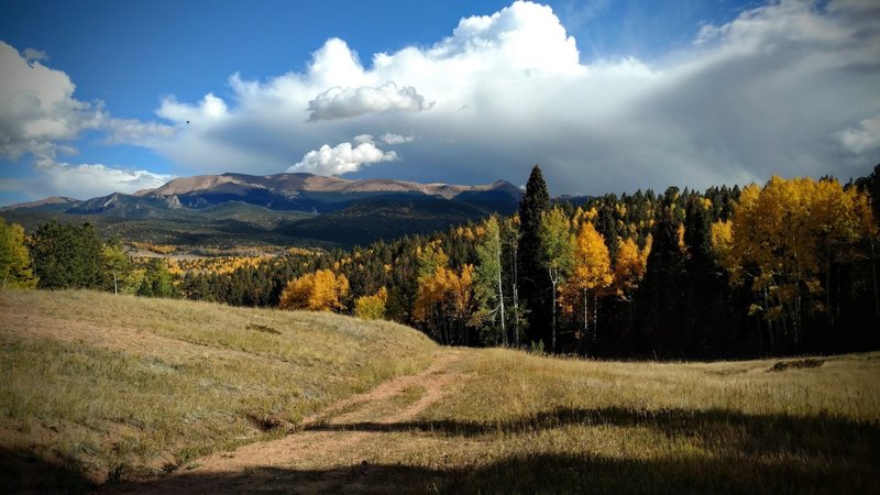 Autumn views towards the Crags and Pike's Peak along Cahill Pond Trail.