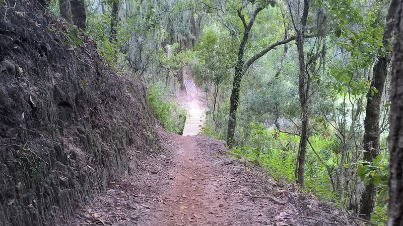 Fast decent across a bridge spanning the swamp, then uphill on stones threading the needle between two trees.