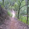 Fast decent across a bridge spanning the swamp, then uphill on stones threading the needle between two trees.