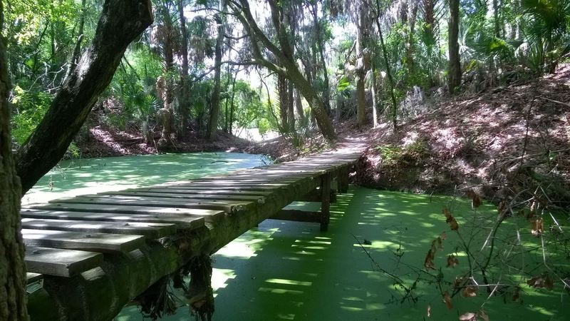 North Creek Trail Mountain Bike Trail Lithia Florida