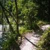 Bend right after Magic Island's exit bridge. Gator feature on the left.