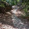 The incline after the drop on Shelly's Loop.