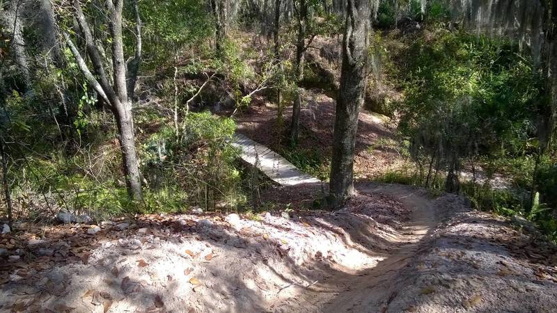 Shelly's Loop has a really fun descent across a curved bridge.