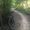 Sweet singletrack at Harry Moss. It's a jungle here in the summer with plenty of shade!