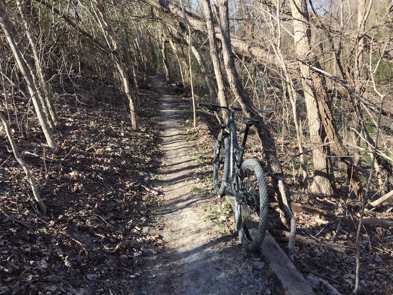 Another shot of sweet singletrack from earlier in the year (Feb 2016).