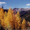 Aspens along the road. with permission from eliot_garvin