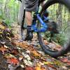 Riding up trail Blue #6, aka the Creek Trail.