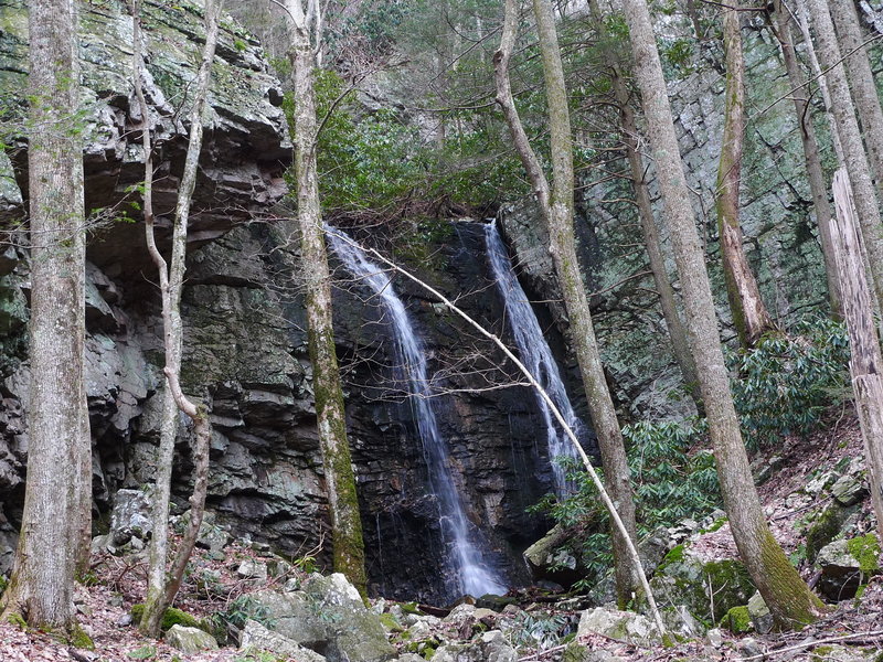 The turn, heading east, for the pictured Pete's Branch Falls.