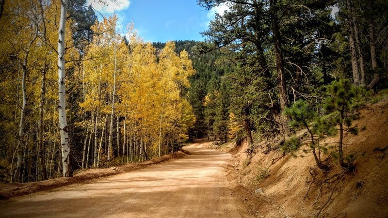 Autumn aspen along Old Stage Road.