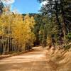 Autumn aspen along Old Stage Road.