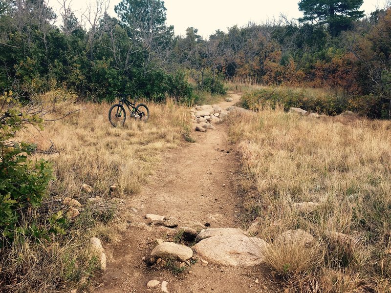 A small drop followed by a tough pile of boulders.